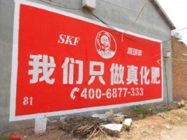 剑阁刷墙广告”蕴含了时代命题