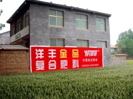 剑阁如何让墙体广告展现最大化效果