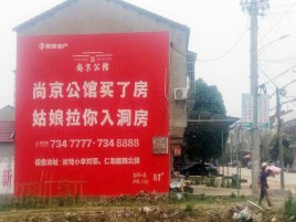 剑阁墙体广告在乡镇、农村市场的媒体优势