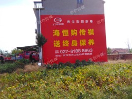 剑阁农村墙体广告给农村人民带来方便