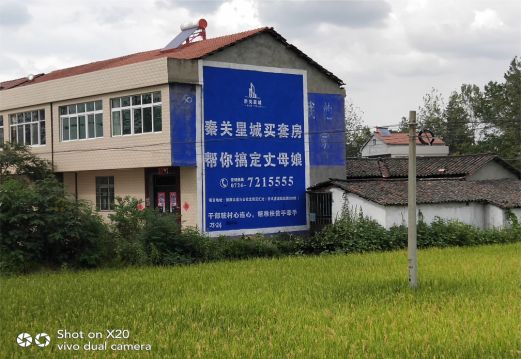 剑阁决定墙体广告价格的因素有哪些?